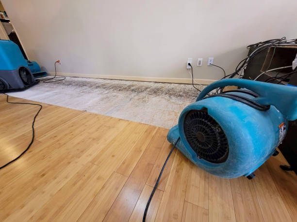 Professional Sewage Cleanup technician working in Hart, TX